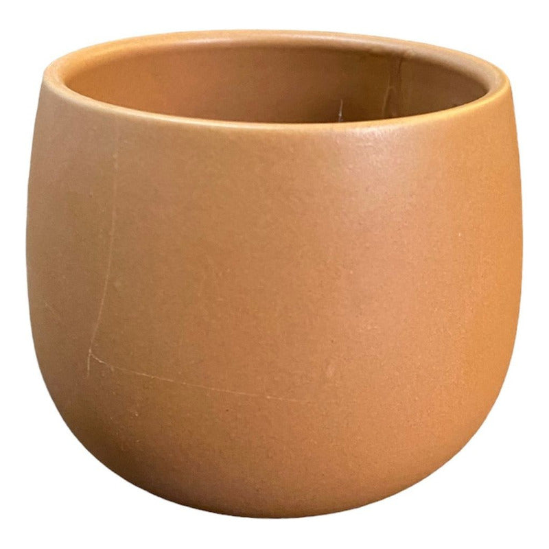 Mini Maceta Decorativa 10 X 8 Cm Varios Colores